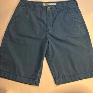 American Eagle Outfitters Men’s Shorts Blue Size 32.
